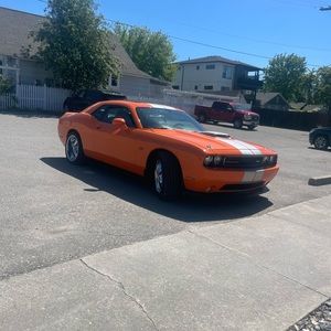 Meet your Posher, Bailey